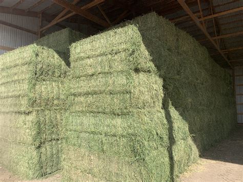 alfalfa hay for sale in oklahoma